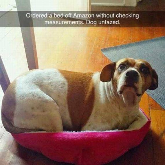 funny-pictures-1055