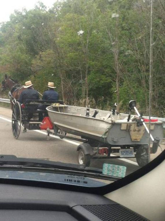 funny-pictures-1055