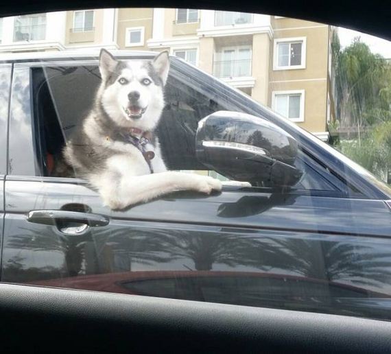 funny-pictures-1055