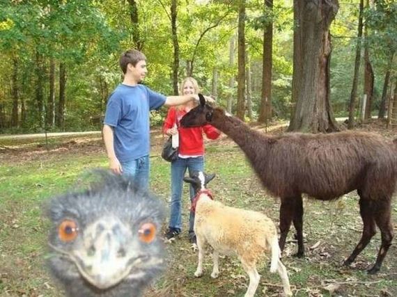 funny-pictures-1056