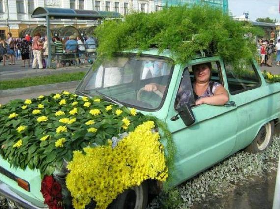 funny-pictures-1056
