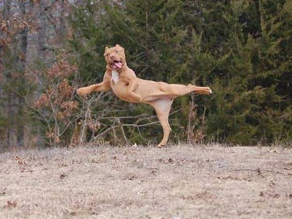 funny-pictures-1056
