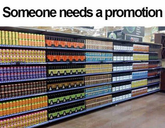 funny-pictures-1056