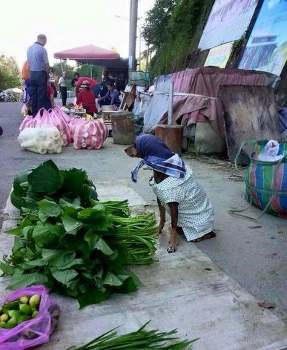 funny-pictures-1056