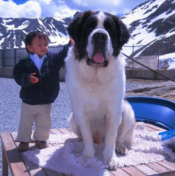 funny-pictures-1056