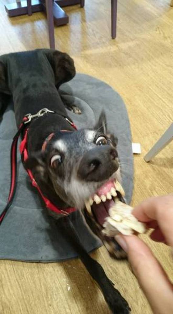 funny-pictures-1056