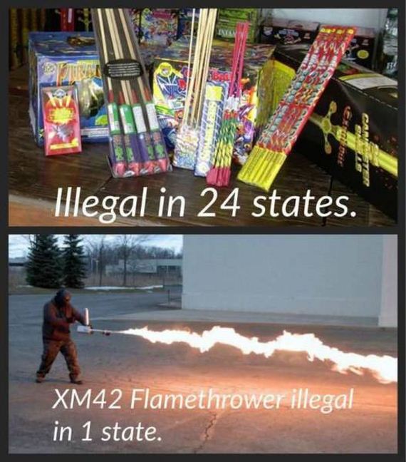 funny-pictures-1056