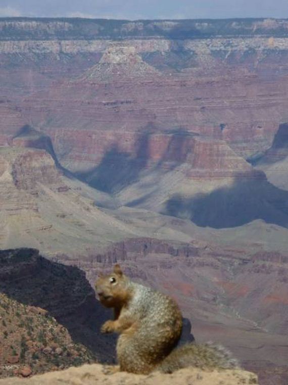 funny-pictures-1056