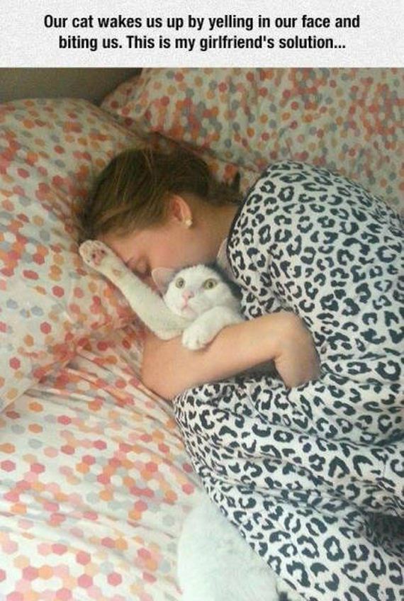 funny-pictures-1056