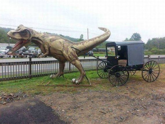 funny-pictures-1057