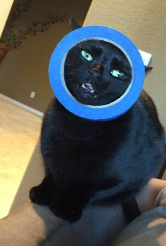 funny-pictures-1057