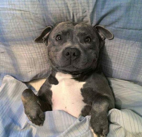 funny-pictures-1057
