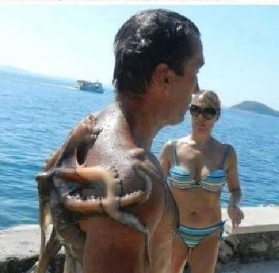 funny-pictures-1057