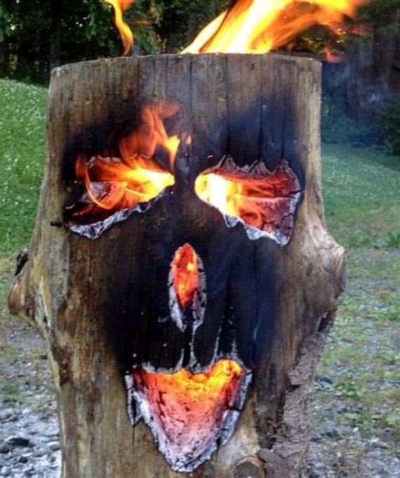funny-pictures-1060