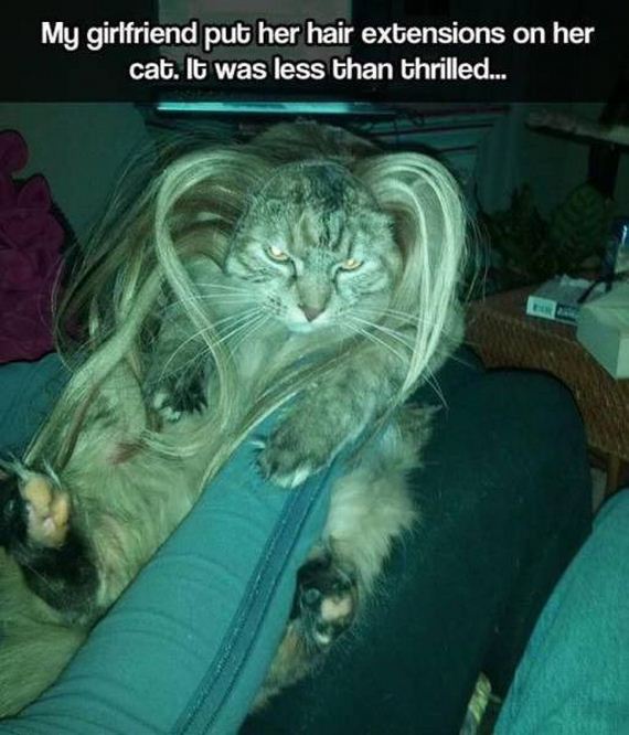 funny-pictures-1060