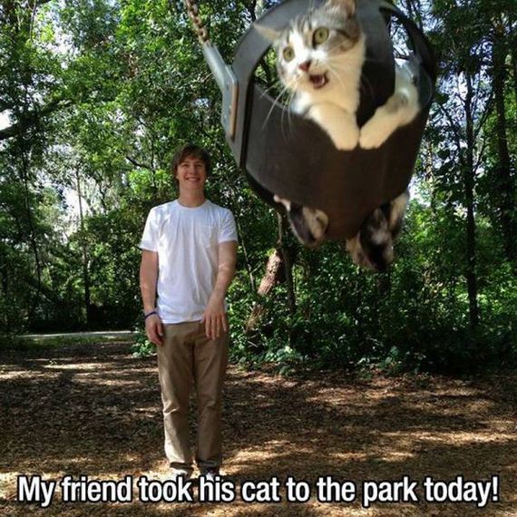 funny-pictures-1060