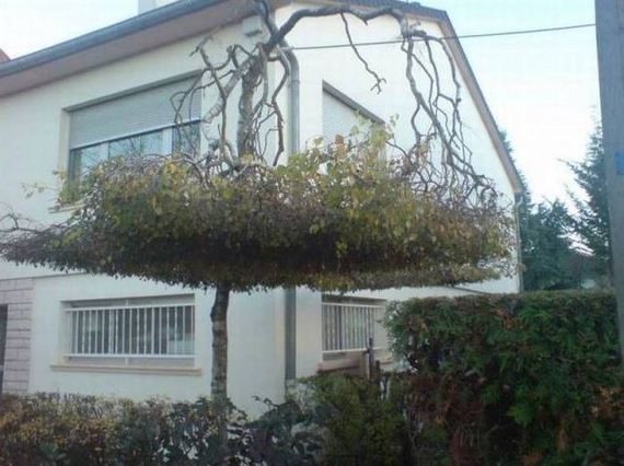 funny-pictures-1061