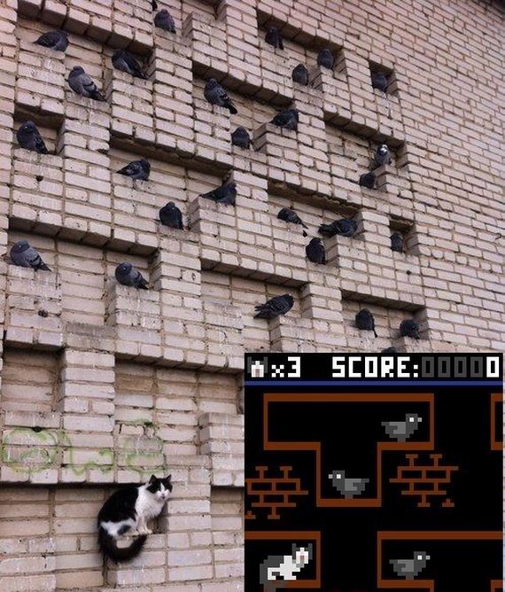 funny-pictures-1061