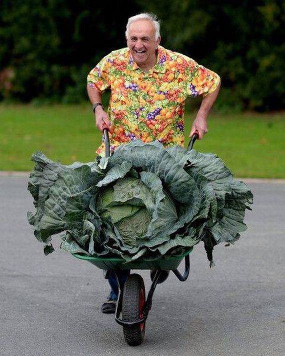 funny-pictures-1061