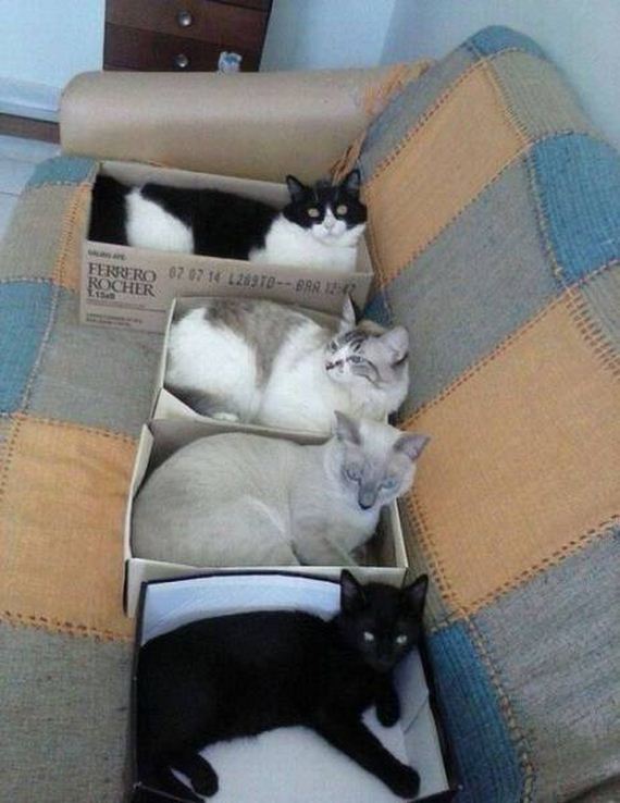 funny-pictures-1061