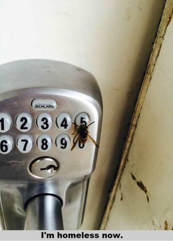 funny-pictures-1061
