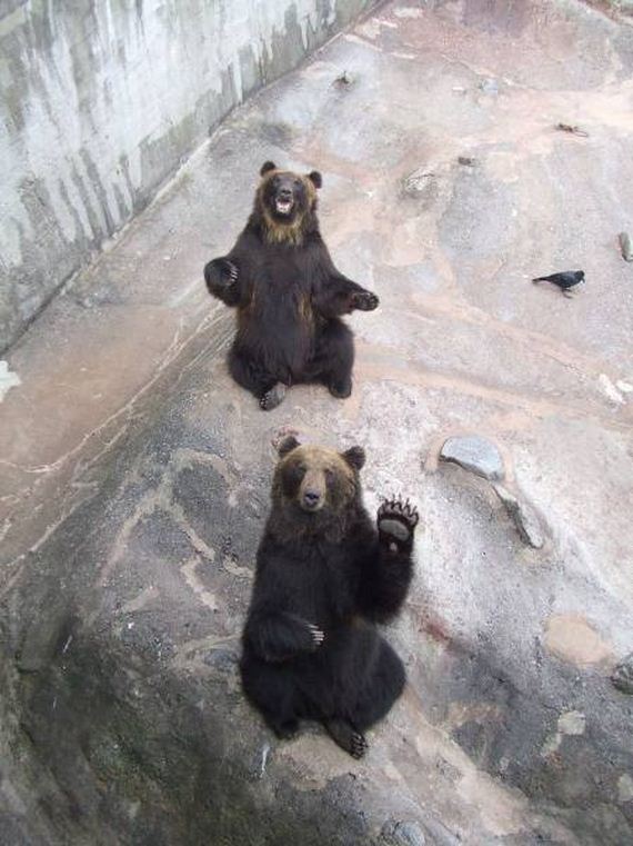 funny-pictures-1061