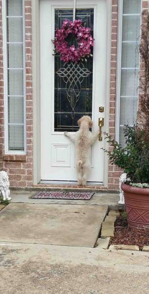 funny-pictures-1063