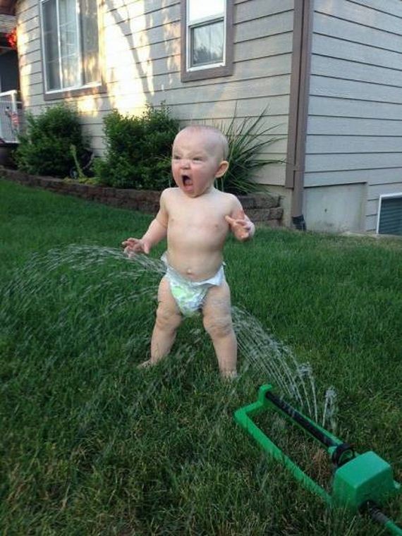 funny-pictures-1063