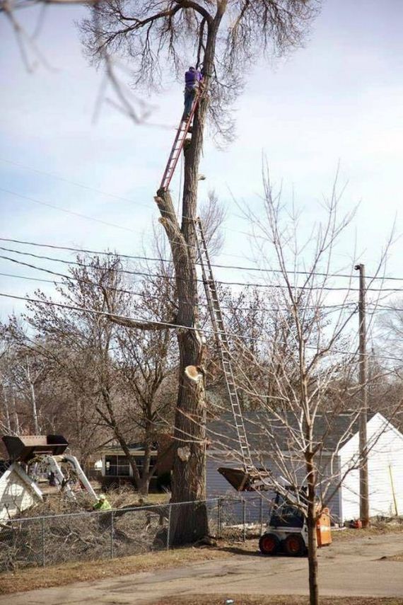 funny-pictures-1063