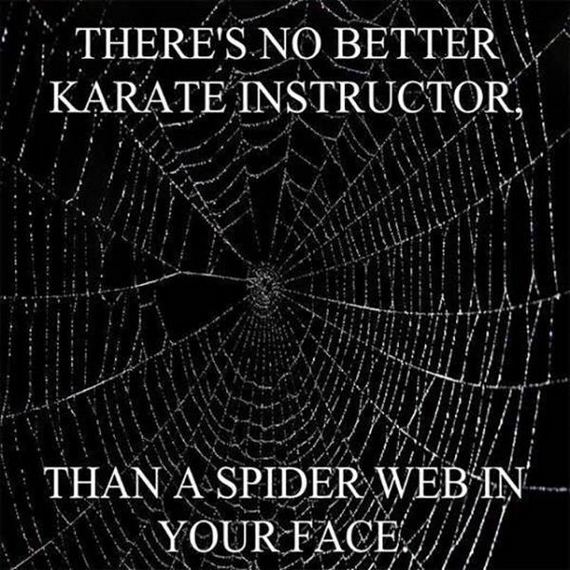 funny-pictures-1063