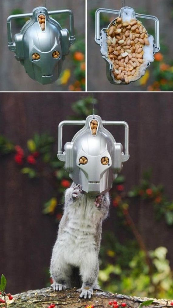 funny-pictures-1064