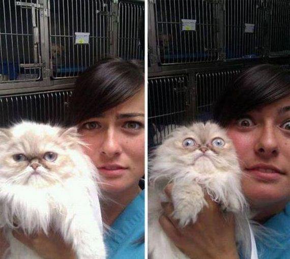 funny-pictures-1064