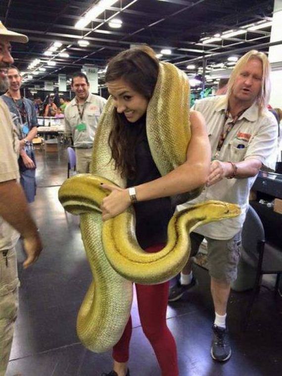 funny-pictures-1064