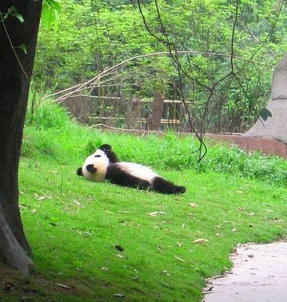 funny-pictures-1064