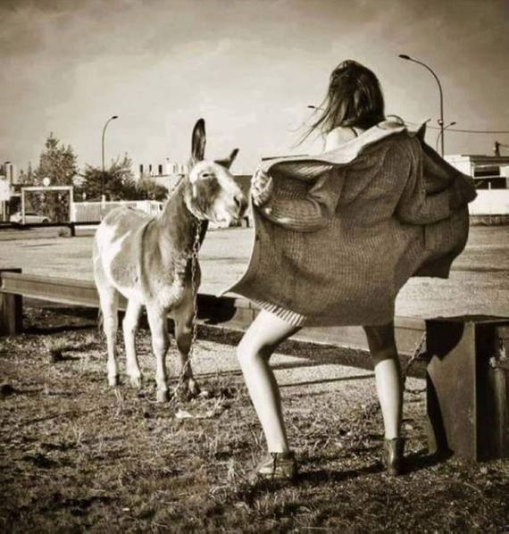 funny-pictures-1068