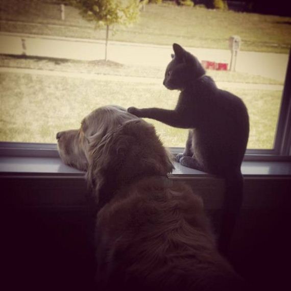 funny-pictures-1068