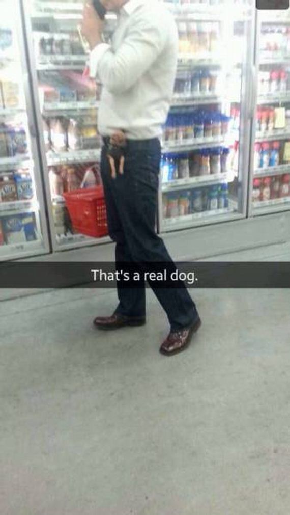 funny-pictures-1068