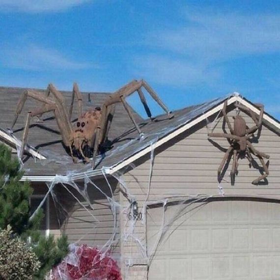 funny-pictures-1068
