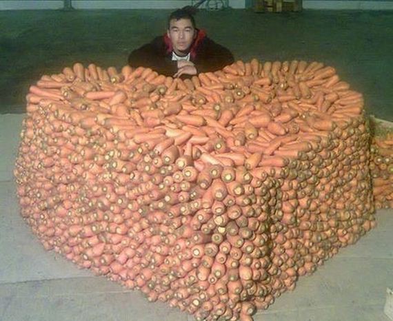 funny-pictures-1069