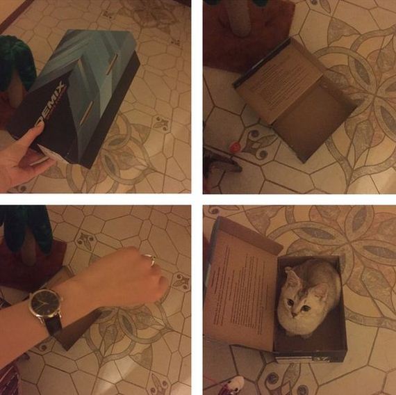 funny-pictures-1069