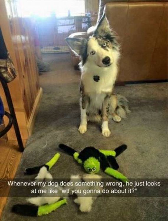 funny-pictures-1069