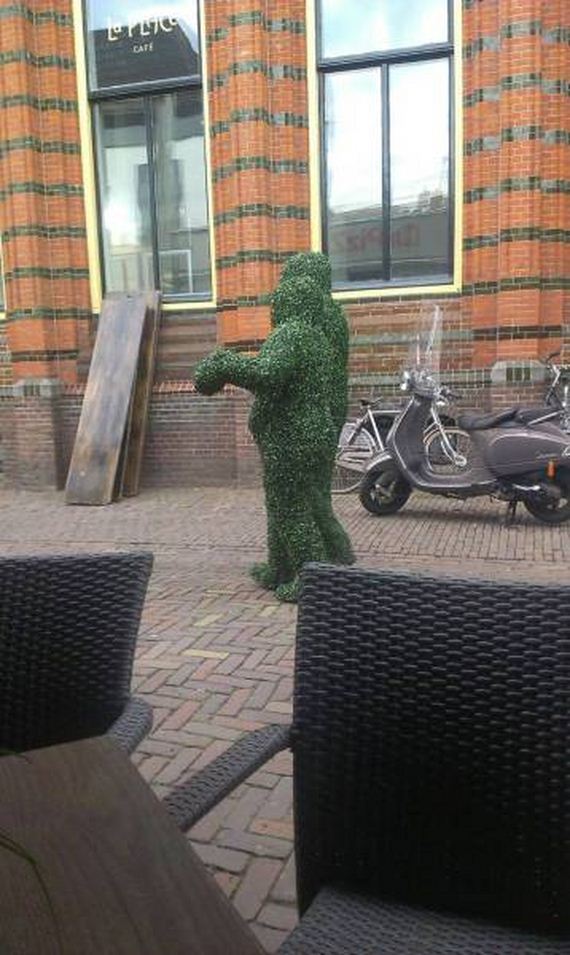 funny-pictures-1069