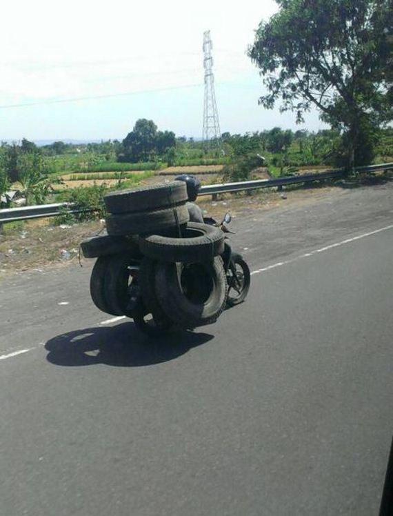 funny-pictures-969