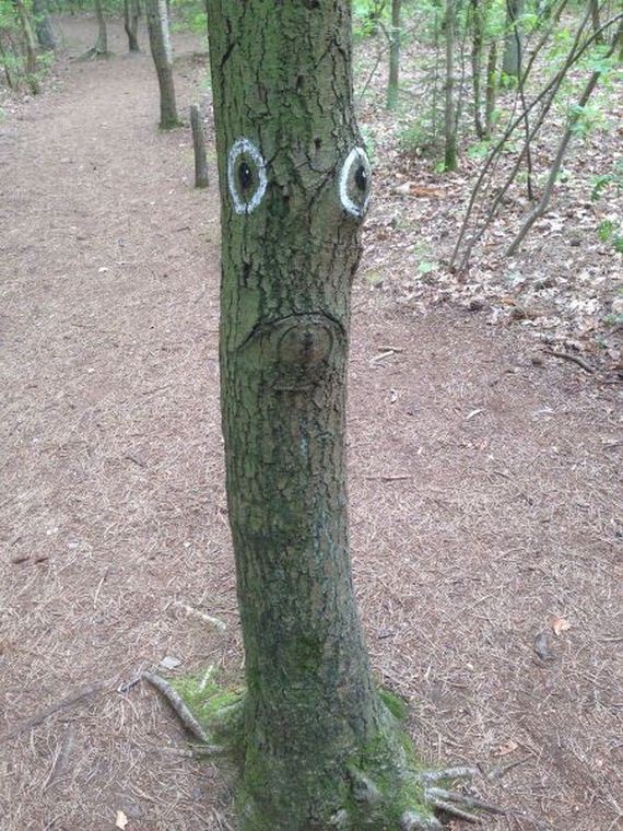 funny-pictures-969