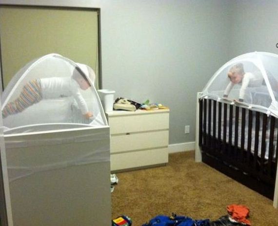 funny-pictures-971