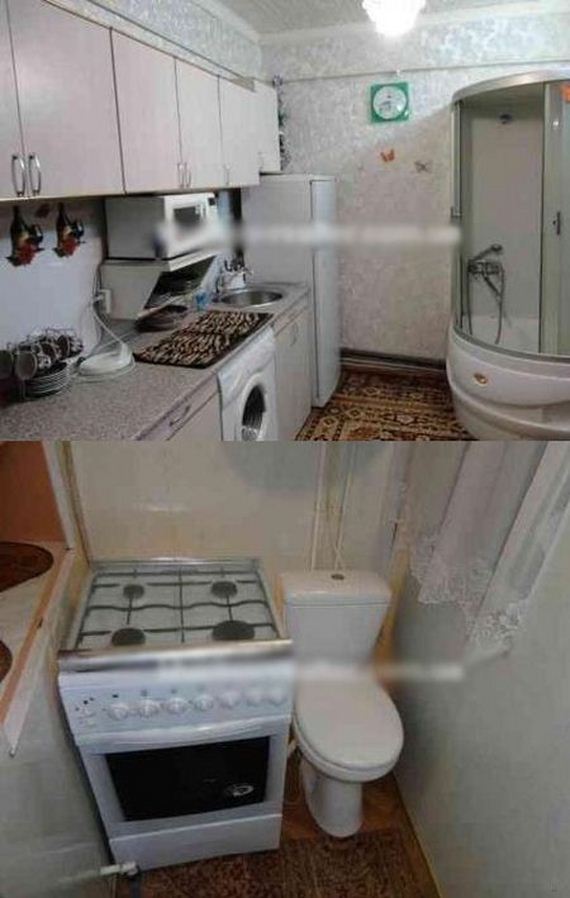 funny-pictures-971