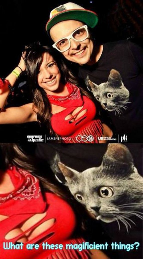 funny-pictures-971