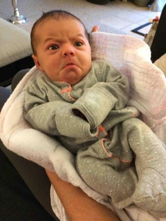 funny-pictures-971