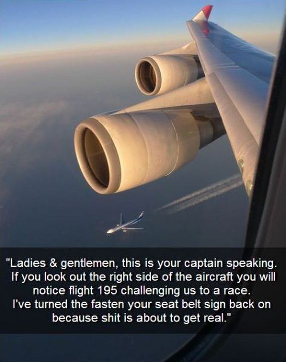 funny-pictures-972