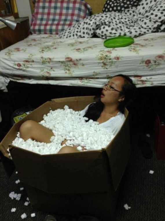 funny-pictures-973